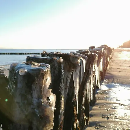 Alte Stellmacherei - 1 *