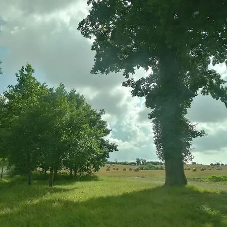 Alte Stellmacherei - 1