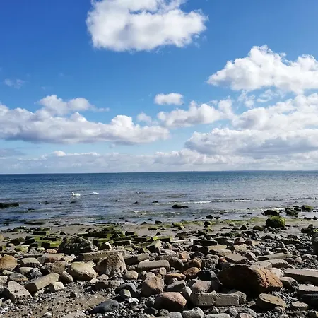 Alte Stellmacherei - 1 Apartament