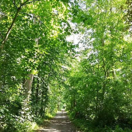 Alte Stellmacherei - 1 Apartament *