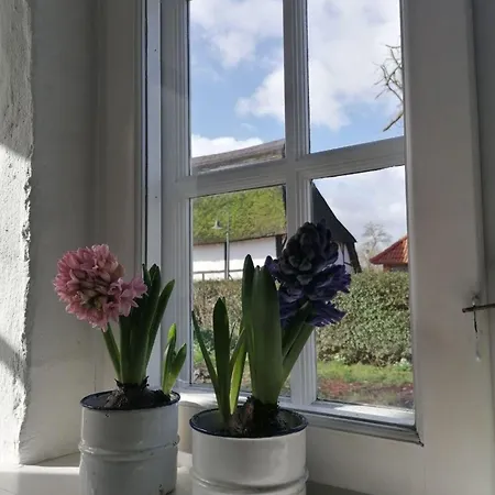 Alte Stellmacherei - Ferienwohnung 1