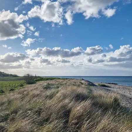 شقة Urlaub Mit Hund - Aktuell Noch Freie Kapazitaeten Im Sommer!
