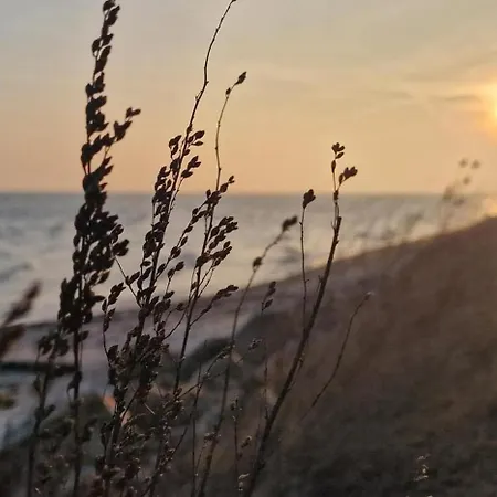 Urlaub Mit Hund - Aktuell Noch Freie Kapazitaeten Im Sommer! شقة