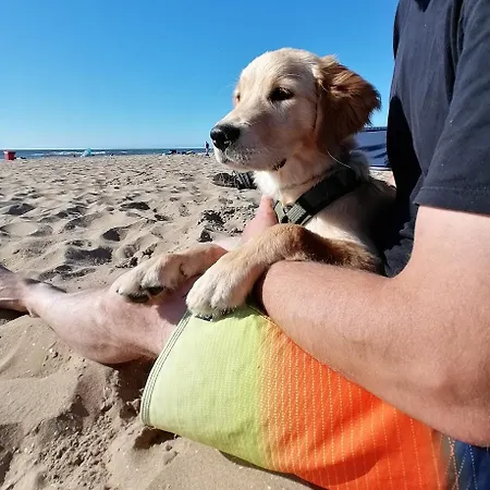 شقة Urlaub Mit Hund - Aktuell Noch Freie Kapazitaeten Im Sommer!