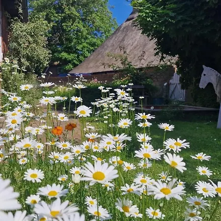 Urlaub Mit Hund - Aktuell Noch Freie Kapazitaeten Im Sommer! * Riepsdorf
