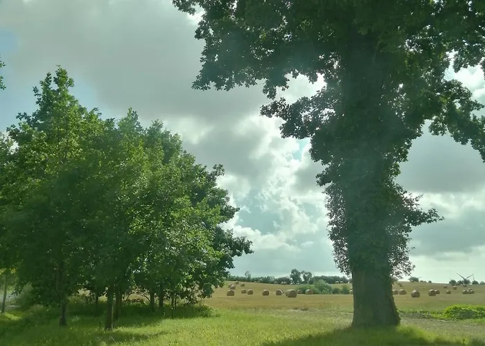 Alte Stellmacherei - 1